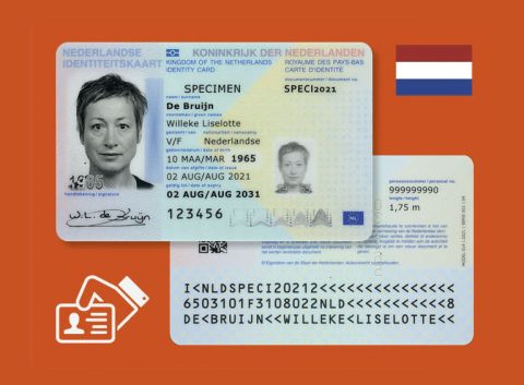 Buy Real Netherlands identity cards