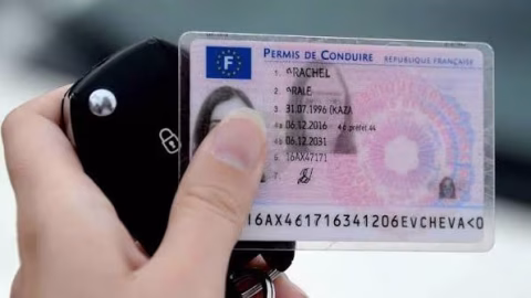 Buy Registered French Drivers license