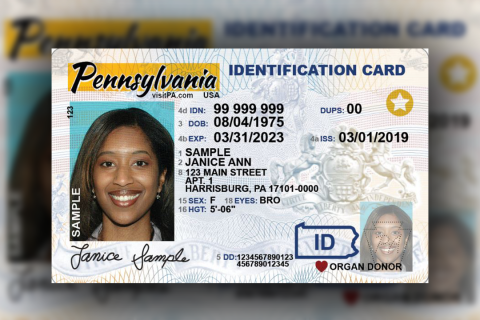 Buy real or Real Pennsylvania driver’s license