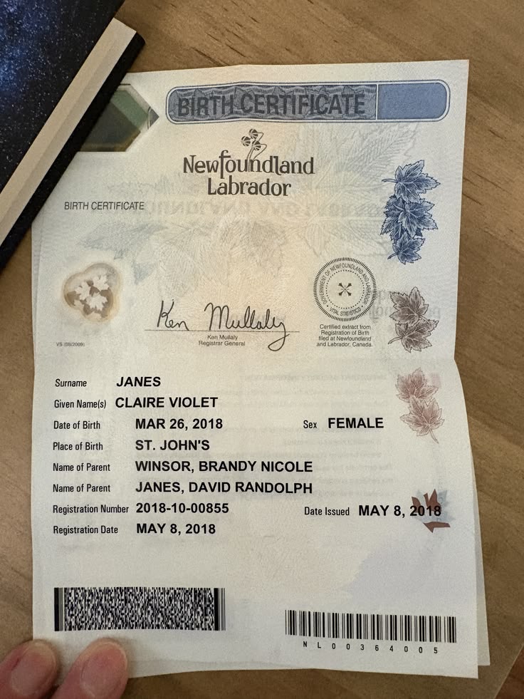 Buy Birth Certificates Online