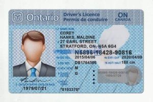Buy Real Canadian drivers licence online